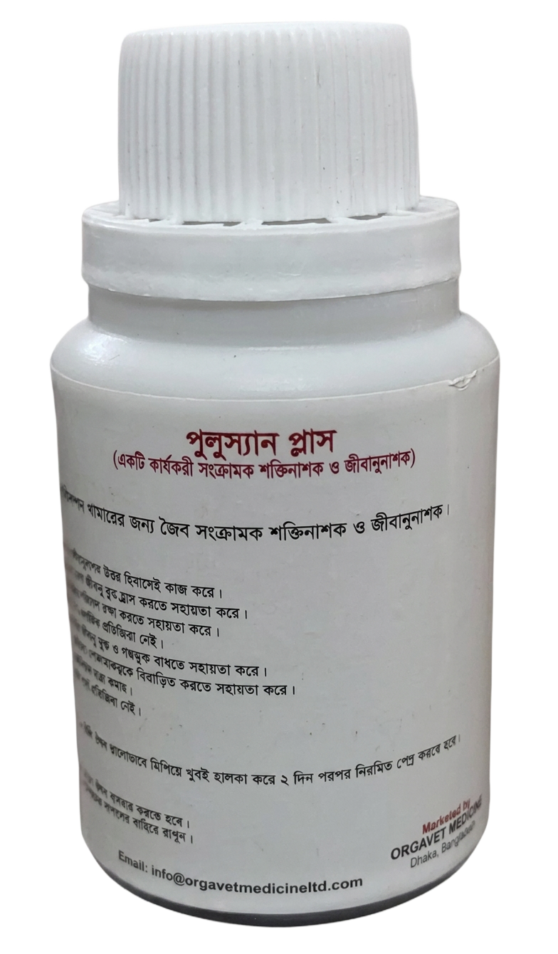 পুলুস্যান প্লাস